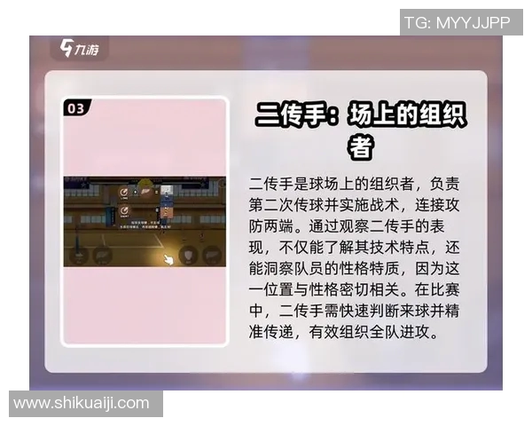 从零起步掌握排球技巧与战术全解析助你成为排球高手